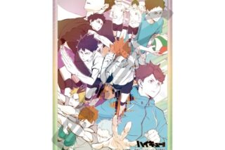 アニメハイキュー!! 126-AC77 日々の研鑽
 アニメイトで
2025年03月発売