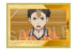 ハイキュー!! 場面写アクリル色紙プレミアム 9
 
2025年12月発売