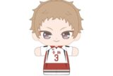 ハイキュー!! ぷりぬいたっちどりーむみにみに 夜久 衛輔
 
2026年01月発売
で取扱中