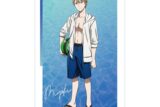 TVアニメ「かぐや様は告らせたい」 描き下ろしイラスト 白銀御行 水着ver. A3マット加工ポスター アニメイトで
2025/12/17 発売