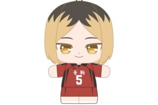 ハイキュー!! ぷりぬいたっちどりーむみにみに 孤爪 研磨
 
2026年01月発売
で取扱中