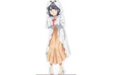 青春ブタ野郎はバニーガール先輩の夢を見ない 描き下ろしイラスト 牧之原翔子 ハロウィンver. BIGアクリルスタンド【再販】
 
2026年1月17日発売
で取扱中
