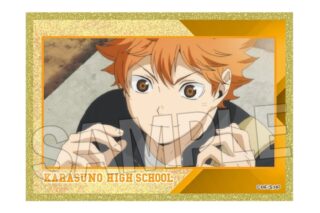ハイキュー!! 場面写アクリル色紙プレミアム 6
 
2025年12月発売