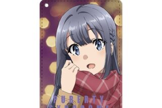 青春ブタ野郎はバニーガール先輩の夢を見ない 描き下ろしイラスト 牧之原翔子 冬服ver. 1ポケットパスケース【再販】
 
2026年1月17日発売
で取扱中