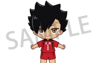 ハイキュー!! アクドール 黒尾 鉄朗
 アニメイトで
2025年03月上旬発売