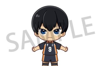 ハイキュー!! アクドール 影山 飛雄
 アニメイトで
2025年03月上旬発売