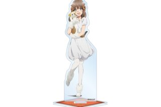 青春ブタ野郎はバニーガール先輩の夢を見ない 描き下ろしイラスト 梓川かえで ハロウィン2022ver. BIGアクリルスタンド【再販】
 
2026年1月17日発売
で取扱中