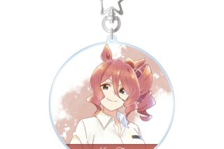 アニメウマ娘 シンデレラグレイ ノルンエース Ani-Art aqua label BIGアクリルキーホルダー
 
2026年2月7日発売