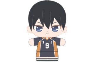 ハイキュー!! ぷりぬいたっちどりーむみにみに 影山 飛雄
 
2026年01月発売
で取扱中