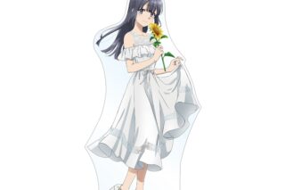 青春ブタ野郎はバニーガール先輩の夢を見ない 描き下ろしイラスト 牧之原翔子 ひまわりと白いワンピースver. BIGアクリルスタンド【再販】
 
2026年1月17日発売
で取扱中