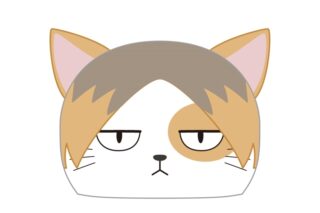 ハイキュー!! ビッグクッション ケンマネコ
 
2026年01月下旬発売
で取扱中