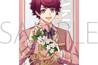 A3! トレーディングクリアカード/Vol.6 春組&夏組 アニメイトで
2025/10/04 発売