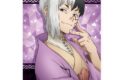 Dr.STONE アクリルポートレートB[あさぎりゲン]【再販】
 アニメイトで
2025年12月中旬発売