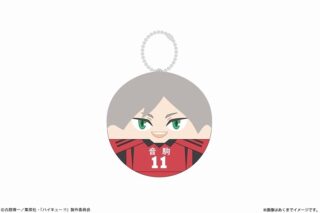 ハイキュー!! ころまにあ Ver. ゴミ捨て場の決戦 13 灰羽リエーフ
 アニメイトで
2024年11月中旬発売