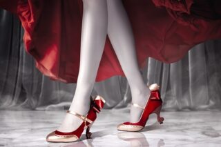 Identity V 第五人格 アイコニック シューズオブジェ パンプス 1.5[RD][血の女王][39]
 アニメイトで
2026年03月発売