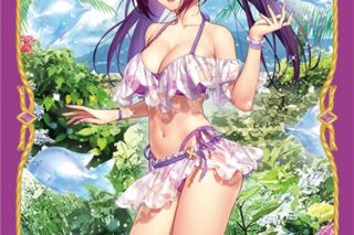 Fate/Grand Order ブロッコリーキャラクタースリーブ 「ルーラー/スカサハ=スカディ」
 アニメイトで
2025/12/20 発売