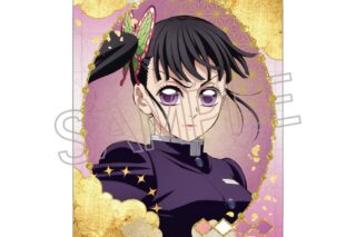 鬼滅の刃 ステッカー 栗花落カナヲ
 アニメイトで
2025年11月下旬発売