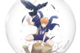 ハイキュー!! 日向翔陽 65mm缶バッジ Ver.3.0【再販】
 アニメイトで
2024年09月上旬発売