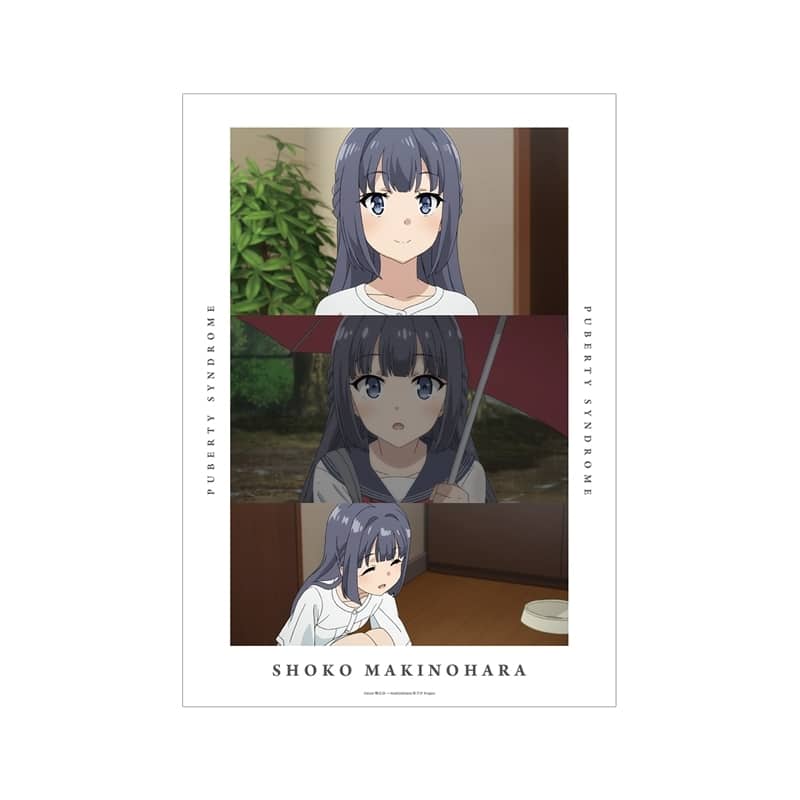 青春ブタ野郎はバニーガール先輩の夢を見ない 牧之原翔子 場面写A3マット加工ポスター【再販】
 
2026年1月17日発売
で取扱中