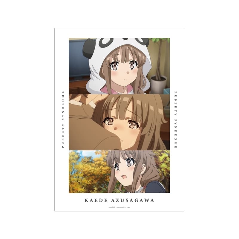 青春ブタ野郎はバニーガール先輩の夢を見ない 梓川かえで 場面写A3マット加工ポスター【再販】
 
2026年1月17日発売
で取扱中