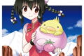 ながされて藍蘭島 43巻 
								2025年9月11日
							発売