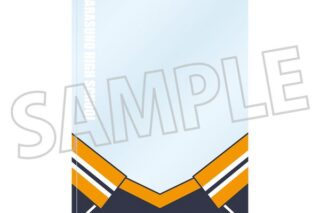 ハイキュー!! 硬質カードケース 烏野高校 キャラアニで
                                                2025年12月発売