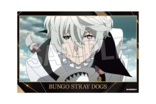 文豪ストレイドッグス スタンドカード 8 キャラアニで
                                                2025年12月発売
