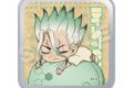 Dr.STONE ふわみん缶ケース 石神千空 キャラアニで
                                                2025年12月発売