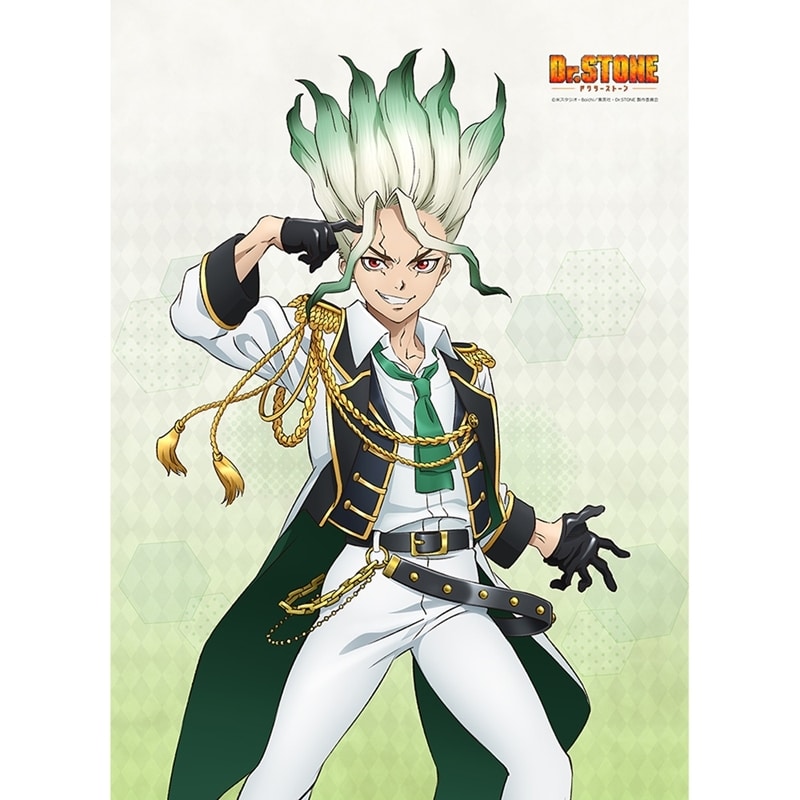 Dr.STONE 描き下ろしB2タペストリー(石神千空/アイドル風衣装)【再販】
 アニメイトで
2025年10月発売
