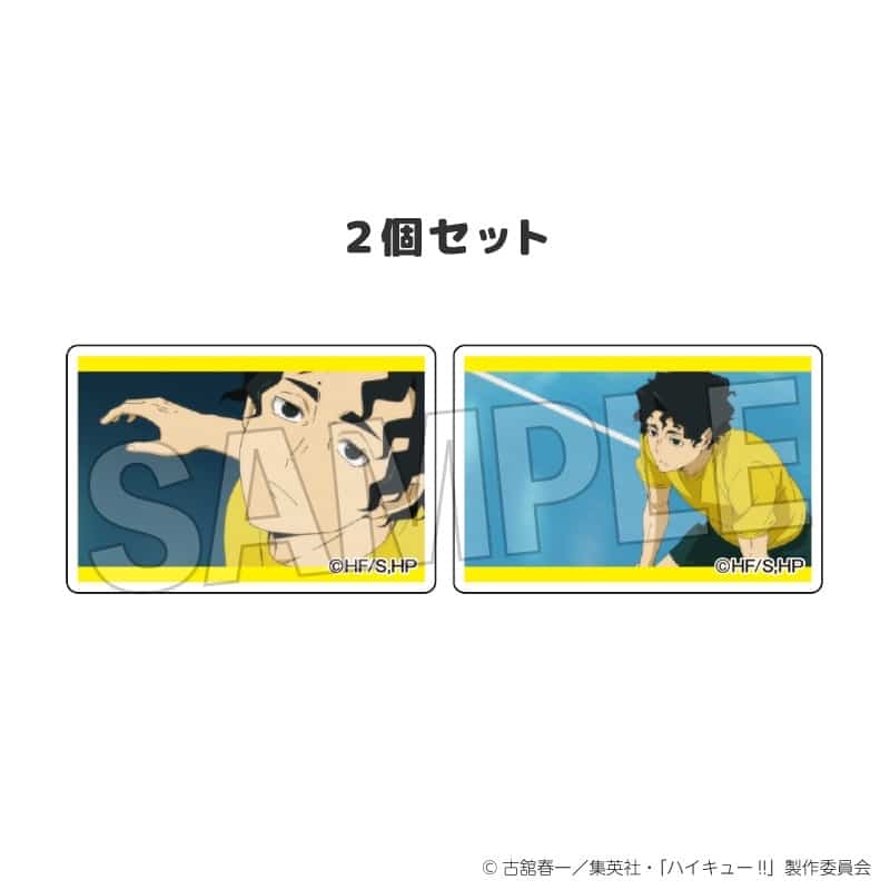 ハイキュー!! つみこま 2種セット 30
 
2025年12月発売
で取扱中