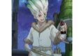 Dr.STONE 描き下ろしB2タペストリー(石神千空)【再販】
 アニメイトで
2025年10月発売