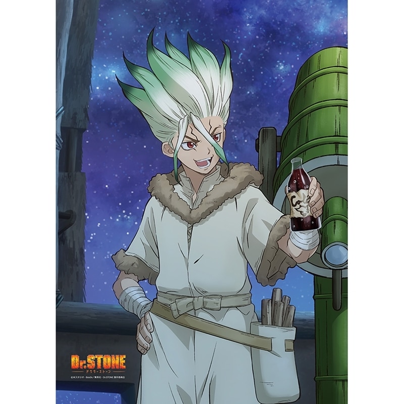 Dr.STONE 描き下ろしB2タペストリー(石神千空)【再販】
 アニメイトで
2025年10月発売