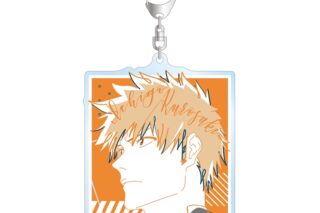 TVアニメ『BLEACH 千年血戦篇』 黒崎一護 lette-graph BIGアクリルキーホルダー
 
2026年2月7日発売
で取扱中