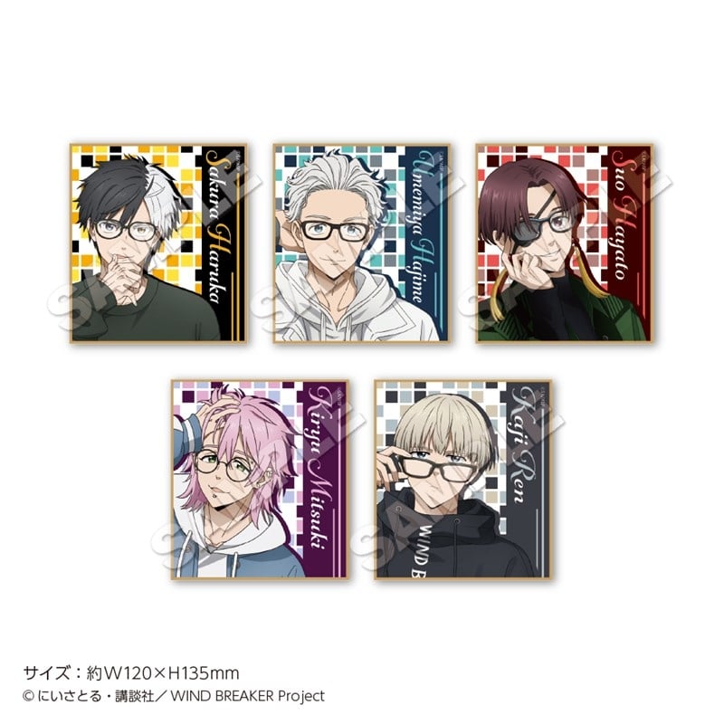 ウィンドブレイカー (ウィンブレ) トレーディング色紙 Glasses 【再販】
 
2026年01月発売