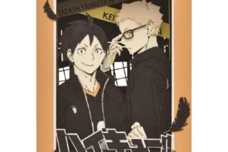 アニメハイキュー!! 【リニューアル】PT-267X 月島蛍・山口忠
 アニメイトで
2024年08月発売