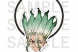 TVアニメ『Dr.STONE』 ヘアゴム 石神千空
 アニメイトで
2025年10月下旬発売