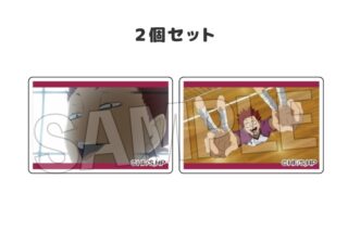 ハイキュー!! つみこま 2種セット 20
 
2025年12月発売
で取扱中
