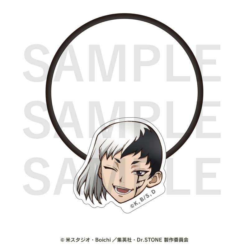 TVアニメ『Dr.STONE』 ヘアゴム あさぎりゲン
 アニメイトで
2025年10月下旬発売