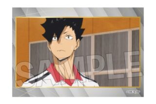 ハイキュー!! スタパネ ミニ vol.9 30
 
2025年11月発売