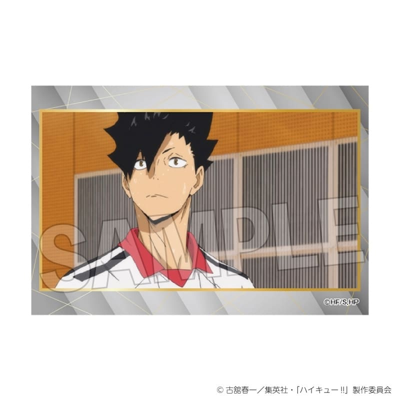 ハイキュー!! スタパネ ミニ vol.9 30
 
2025年11月発売