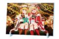 【推しの子】 箔押しサイン入りアクリルパネル Xmas 2024ver.
 アニメイトで
2026年02月発売