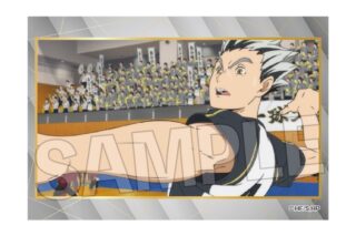 ハイキュー!! スタパネ ミニ vol.9 29
 
2025年11月発売