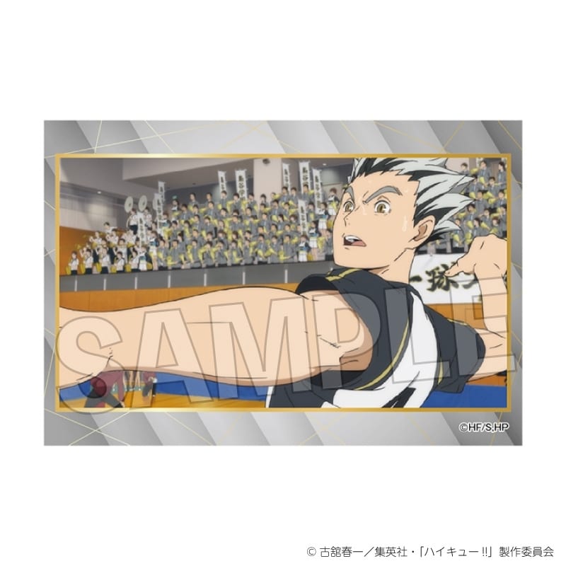 ハイキュー!! スタパネ ミニ vol.9 29
 
2025年11月発売