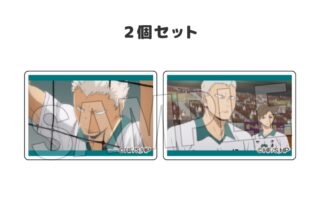 ハイキュー!! つみこま 2種セット 17
 
2025年12月発売
で取扱中