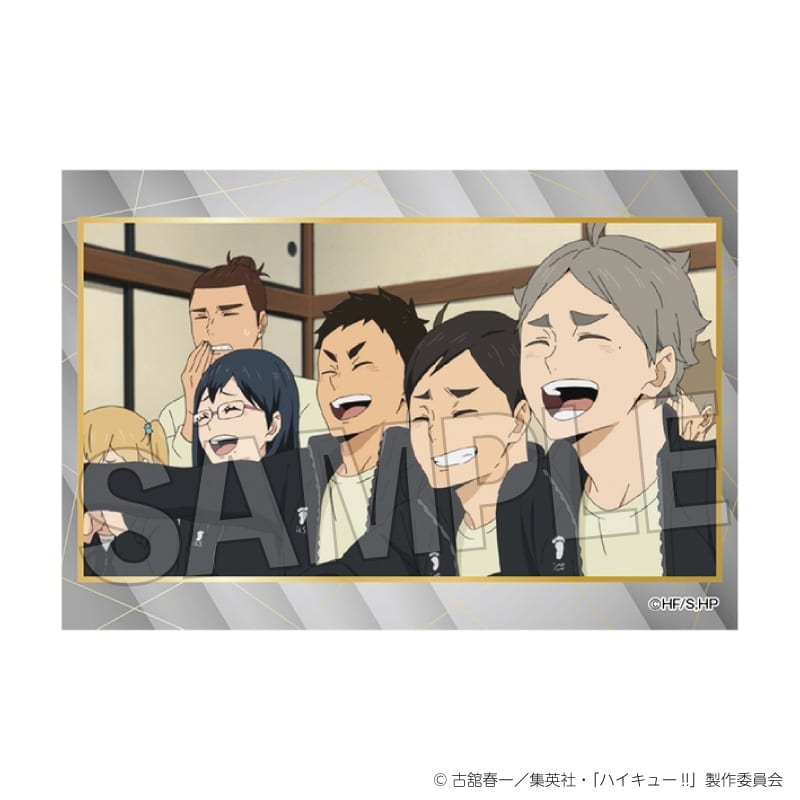 ハイキュー!! スタパネ ミニ vol.9 28
 
2025年11月発売