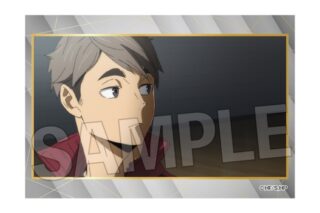 ハイキュー!! スタパネ ミニ vol.9 26
 
2025年11月発売