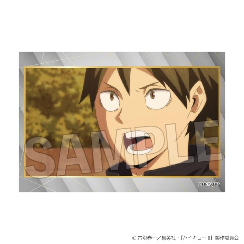 ハイキュー!! スタパネ ミニ vol.9 24
 
2025年11月発売