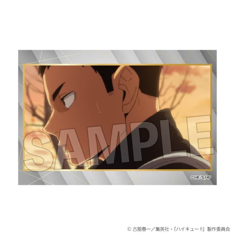 ハイキュー!! スタパネ ミニ vol.9 23
 
2025年11月発売