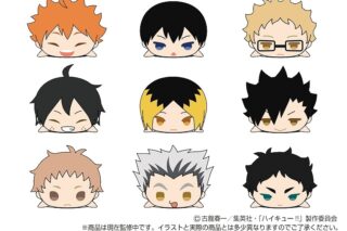 もちもちマスコットWA ハイキュー!! vol.1【アニメイト特典付】
 アニメイトで
2024年08月発売