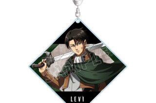 TVアニメ『進撃の巨人』 描き下ろし リヴァイ 戦いの後でver. BIGアクリルキーホルダー
 
2026年2月7日発売
で取扱中